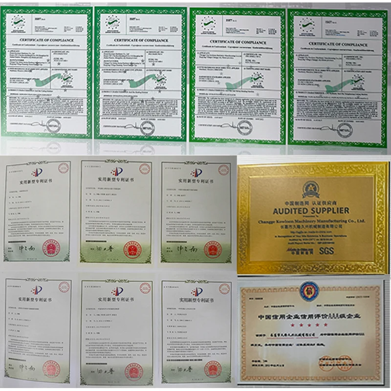 Tamping Rammer Electric Motor